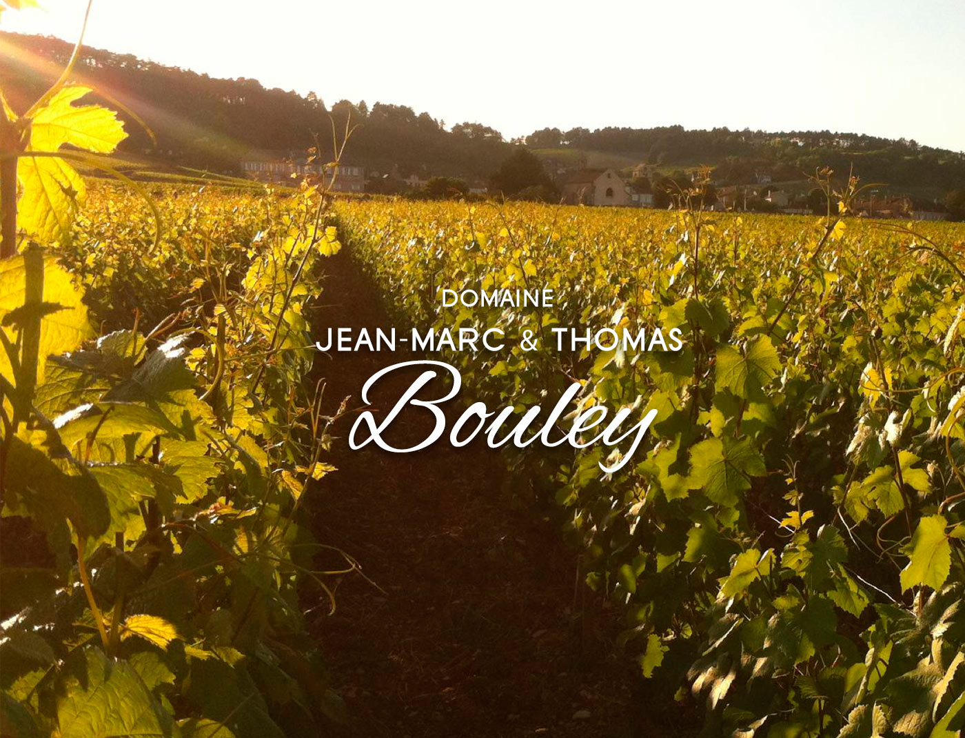 Domaine Jean-Marc & Thomas Bouley - Volnay