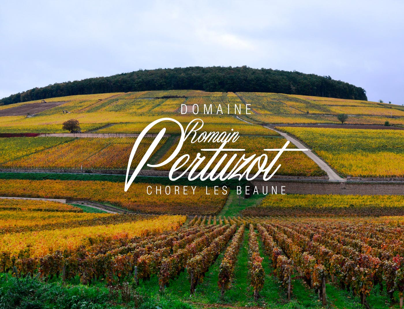 Domaine Romain Pertuzot - Chorey les Beaune