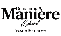 vinsandco
