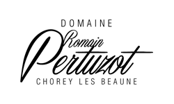 vinsandco
