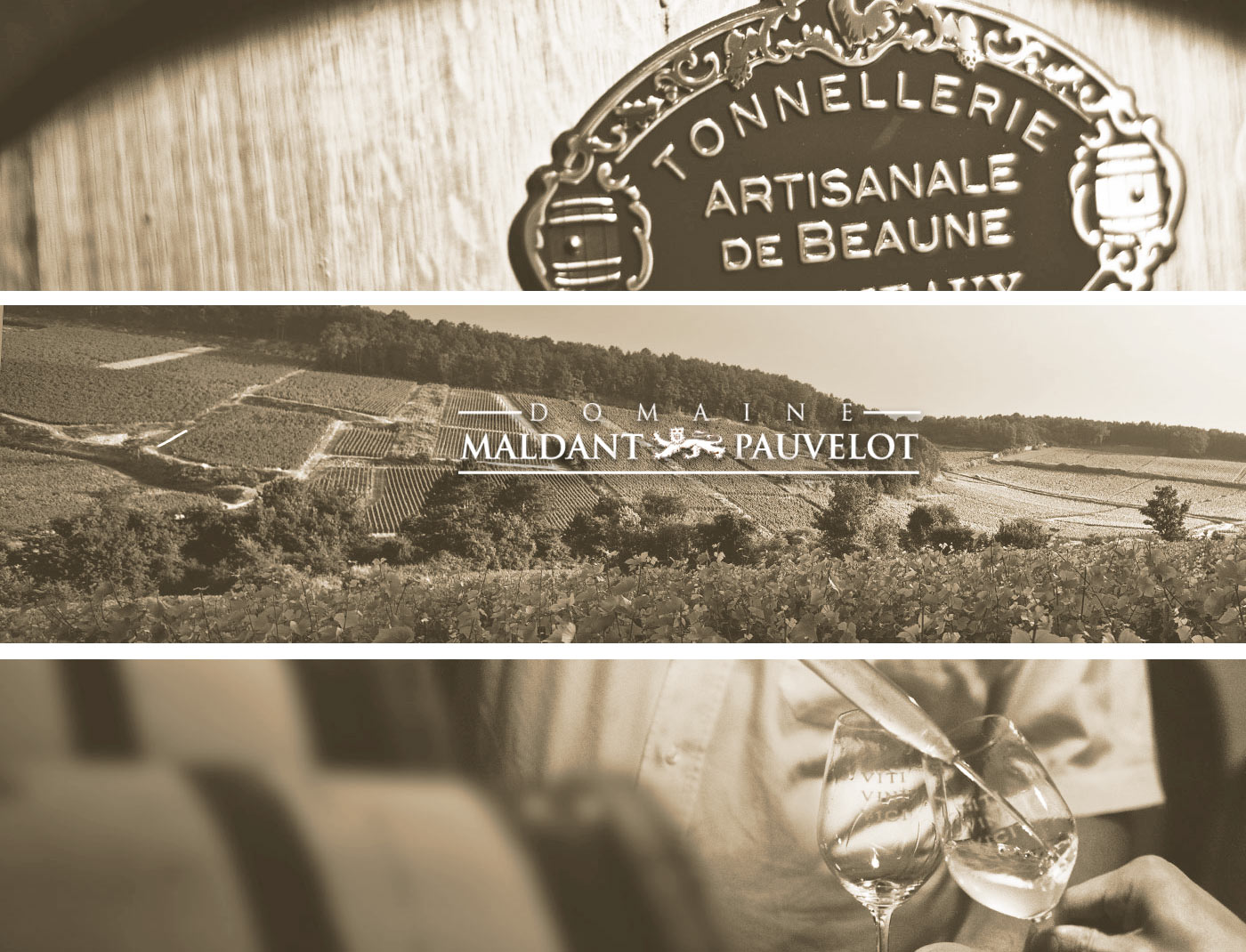 Domaine Jean-Luc Maldant - Chorey les Beaune