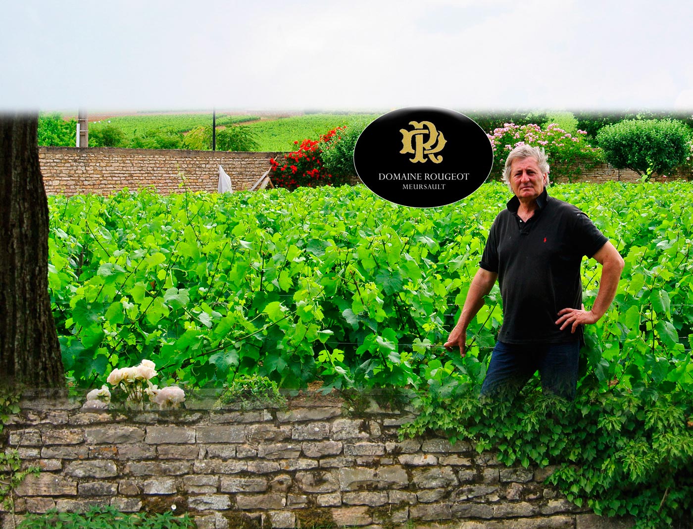 Domaine Rougeot Père & Fils - Meursault