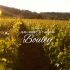 Domaine Jean-Marc & Thomas Bouley - Volnay