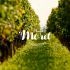 Domaine David Moret - Beaune