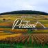 Domaine Romain Pertuzot - Chorey les Beaune