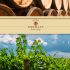 Domaine Philppe Germain - Nantoux